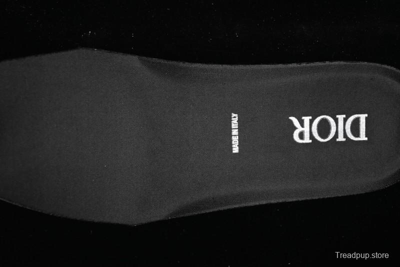 Dior B30 CD Sneakers - AJE5