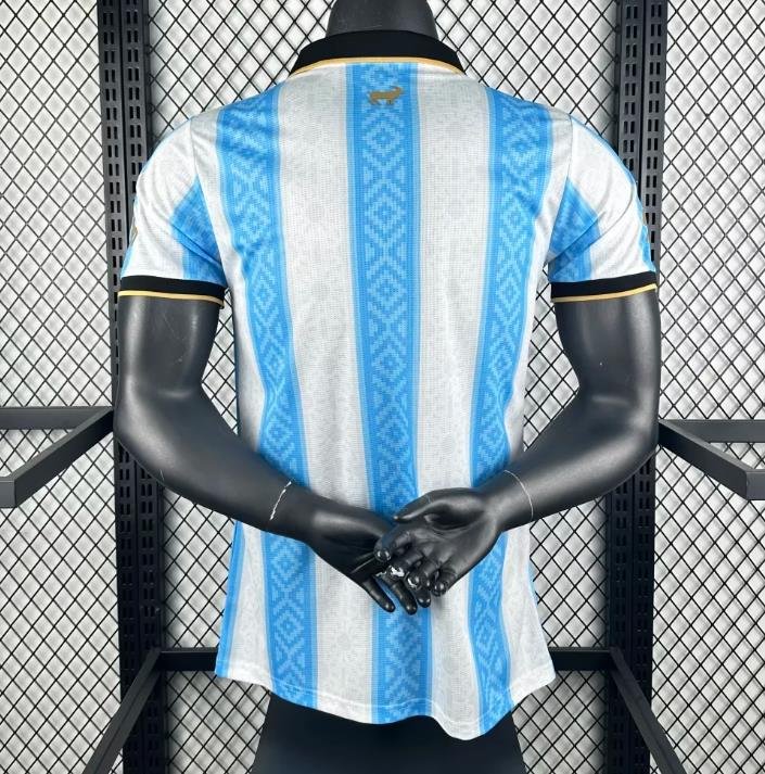 Player Version 2025 Argentina Home Jersey